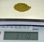 Alaskan Yukon Gold Rush Nuggets #25 Mesh 1 Troy Oz 31.1 Gram 20 DWT Authentic - Image 5