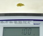 Alaskan Yukon Gold Rush Nuggets 18 Mesh 1 Gram of Small Fines - Image 5