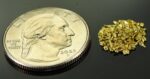 Alaskan Yukon Gold Rush Nuggets 18 Mesh 1 Gram of Small Fines - Image 2