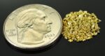 Alaskan Yukon Gold Rush Nuggets 18 Mesh .05 Troy Oz.1.55 Grams or 1 DWT - Image 2