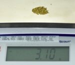 Alaskan Yukon Gold Rush Nuggets 18 Mesh 1/10 Troy Oz 3.1 Grams or 2 DWT - Image 5