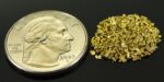 Alaskan Yukon Gold Rush Nuggets 18 Mesh 1/10 Troy Oz 3.1 Grams or 2 DWT - Image 2