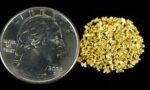 Alaskan Yukon Gold Rush Nuggets 18 Mesh 1/10 Troy Oz 3.1 Grams or 2 DWT - Image 4