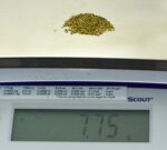 Alaskan Yukon Gold Rush Nuggets 18 Mesh 1/4 Troy Oz 7.75 Grams or 5 DWT - Image 5