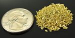 Alaskan Yukon Gold Rush Nuggets 18 Mesh 1/4 Troy Oz 7.75 Grams or 5 DWT - Image 2