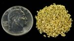 Alaskan Yukon Gold Rush Nuggets 18 Mesh 1/4 Troy Oz 7.75 Grams or 5 DWT - Image 4