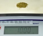 Alaskan Yukon Gold Rush Nuggets 18 Mesh 10 GRAMS OF CLEAN GOLD FLAKES - Image 5