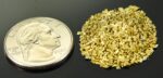 Alaskan Yukon Gold Rush Nuggets 18 Mesh 10 GRAMS OF CLEAN GOLD FLAKES - Image 2