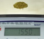 Alaskan Yukon Gold Rush Nuggets 18 Mesh 1/2 Troy Oz 15.5 Grams or 10 DWT - Image 5