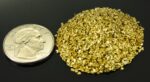 Alaskan Yukon Gold Rush Nuggets 18 Mesh 1 Troy Oz 31.1 Gram 20 DWT - Image 2
