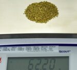 Alaskan Yukon Gold Rush Nuggets 18 Mesh 2 Troy Oz 62.2 Gram 40 DWT - Image 5