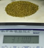 Alaskan Yukon Gold Rush Nuggets 18 Mesh 10 Troy Ounce 311 Grams - Image 5