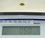 Alaskan Yukon Gold Rush Nuggets #30 Mesh .5 GRAM 1/2 GRAM SUPER SMALL FINE - Image 5