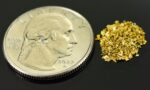 Alaskan Yukon Gold Rush Nuggets #30 Mesh 1 grams of Super Small Fines - Image 2