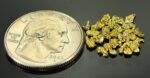 Alaskan Yukon Gold Rush Nuggets 10 Mesh 2 Grams of Fines - Image 2