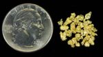 Alaskan Yukon Gold Rush Nuggets 10 Mesh 2 Grams of Fines - Image 4