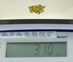 Alaskan Yukon Gold Rush Nuggets 10 Mesh 1/10 Troy Oz 3.1 Gram 2 DWT - Image 5