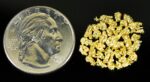Alaskan Yukon Gold Rush Nuggets 10 Mesh 1/10 Troy Oz 3.1 Gram 2 DWT - Image 4