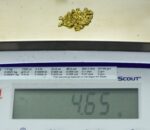 Alaskan Yukon Gold Rush Nuggets 10 Mesh .15 Troy Oz 4.65 Gram 3 DWT - Image 5