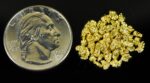 Alaskan Yukon Gold Rush Nuggets 10 Mesh .15 Troy Oz 4.65 Gram 3 DWT - Image 4