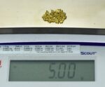 Alaskan Yukon Gold Rush Nuggets 10 Mesh 5 grams - Image 5