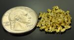 Alaskan Yukon Gold Rush Nuggets 10 Mesh 5 grams - Image 2