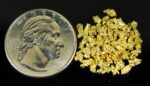 Alaskan Yukon Gold Rush Nuggets 10 Mesh 5 grams - Image 4