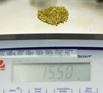 Alaskan Yukon Gold Rush Nuggets 10 Mesh 1/2 Troy Oz 15.5 Grams or 10 DWT - Image 5