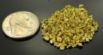 Alaskan Yukon Gold Rush Nuggets 10 Mesh 1/2 Troy Oz 15.5 Grams or 10 DWT - Image 2