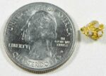 #2 Australian Natural Gold Nugget With Quartz Weighs .82 Grams - Image 2