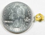 #12 Australian Natural Gold Nugget With Quartz Weighs .80 Grams - Image 2