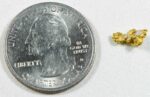 #14 Australian Natural Gold Nugget With Quartz Weighs .54 Grams - Image 2