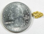 #15 Australian Natural Gold Nugget With Quartz Weighs .67 Grams - Image 2