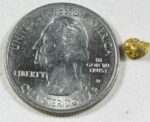 #18 Australian Natural Gold Nugget With Quartz Weighs .48 Grams - Image 2