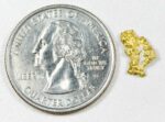 #26 Australian Natural Gold Nugget With Quartz Weighs .88 Grams - Image 2