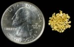 Alaskan Yukon Gold Rush Nuggets #20 Mesh . 5 GRAMS 1/2 GRAM - Image 4