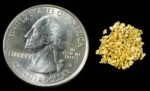 Alaskan Yukon Gold Rush Nuggets #20 Mesh .025 Troy Oz.78 Grams or 1/2 DWT - Image 4