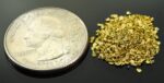 Alaskan Yukon Gold Rush Nuggets #20 Mesh 1/10 Troy Oz 3.1 Grams or 2 DWT - Image 2