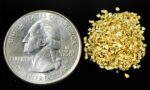 Alaskan Yukon Gold Rush Nuggets #20 Mesh 1/10 Troy Oz 3.1 Grams or 2 DWT - Image 4