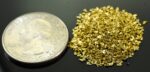 Alaskan Yukon Gold Rush Nuggets #20 Mesh 1/4 Troy Oz 7.75 Grams or 5 DWT - Image 2