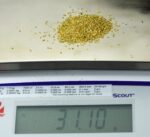 Alaskan Yukon Gold Rush Nuggets #20 Mesh 1 Troy Oz 31.1 Gram 20 DWT Authentic - Image 6