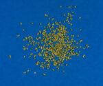 Sonora Gold Nuggets 1 Gram of #30 Mesh Gold Authentic Natural