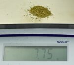 Alaskan Yukon Gold Rush Nuggets #30 Mesh 1/4Troy Oz 7.75 Grams Super Fine Gold - Image 5