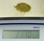 Alaskan Yukon Gold Rush Nuggets #30 Mesh 1 Troy Oz 31.1 Grams - Image 5