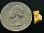 #5 Australian Natural Gold Nugget With Quartz Weighs 1.37 Grams. - Image 2