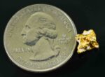 #13 Australian Natural Gold Nugget With Quartz Weighs 1.51 Grams. - Image 2