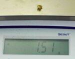 #13 Australian Natural Gold Nugget With Quartz Weighs 1.51 Grams. - Image 3