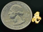 #16 Australian Natural Gold Nugget With Quartz Weighs .95 Grams. - Image 2