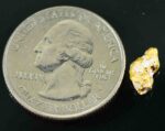 #18 Australian Natural Gold Nugget With Quartz Weighs 1.02 Grams. - Image 2
