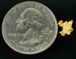 #29 Australian Natural Gold Nugget With Quartz Weighs .56 Grams. - Image 2